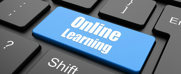 Self-paced Online Training