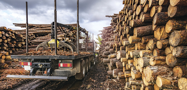 Built to Last: Forestry Demands Further Product Development