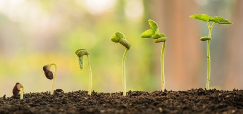 The Power Of Potential: Planting Seeds One At A Time - Fluid Power Journal