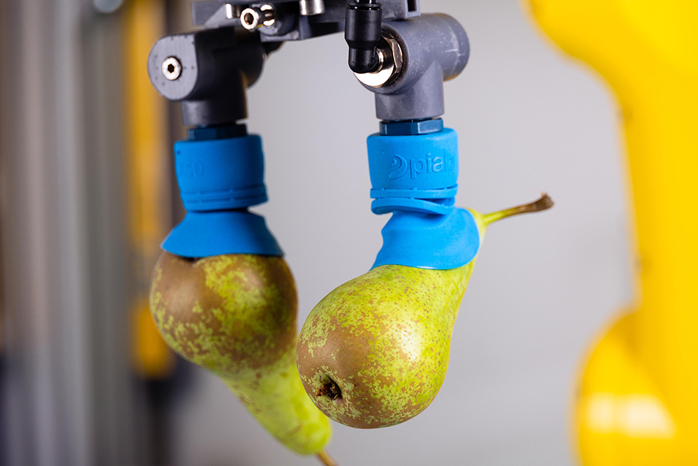 Piab - Suction Cups - Fruit