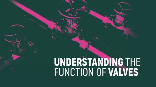 Understanding the Function of Valves